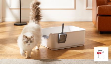 Stubenreinheit bei Katzen fördern sowie seelische und körperliche Komponenten erkennen - Katzen Homöopathie Anleitung